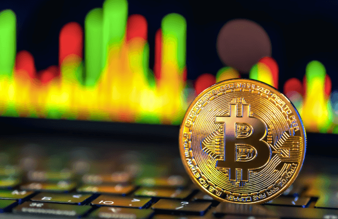 Essential Resources for Learning About Crypto